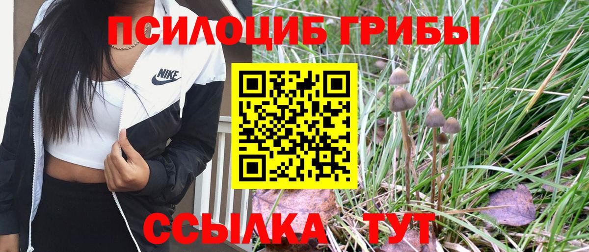 Галлюциногенные грибы Magic Shrooms Каспийск
